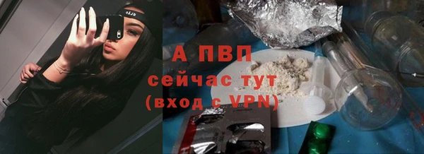 прущие грибы Абдулино