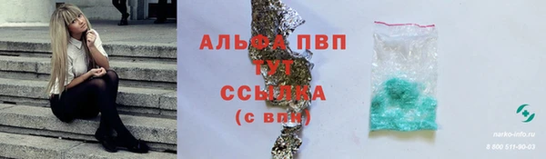 прущие грибы Абдулино