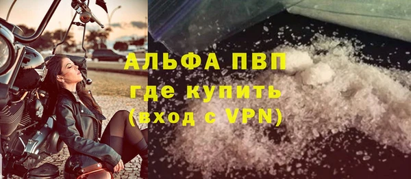 прущие грибы Абдулино